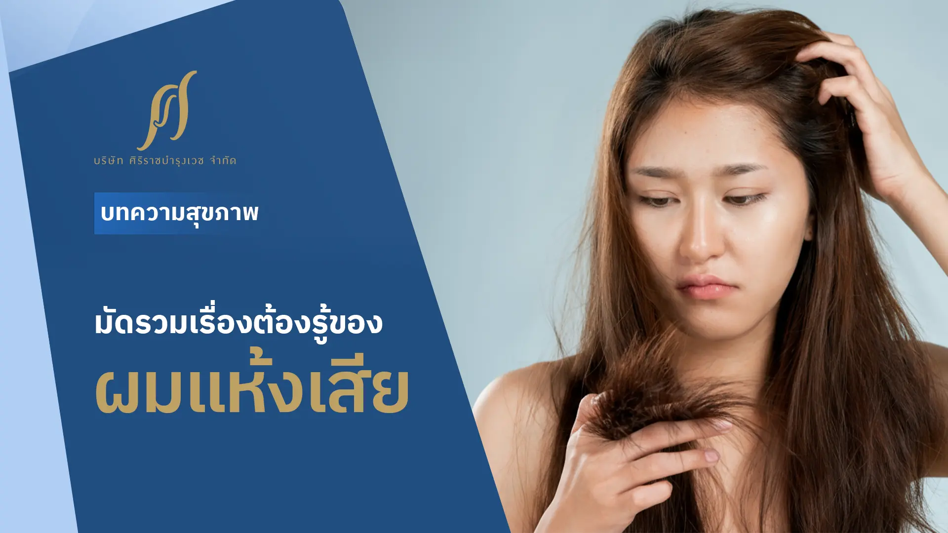 ผู้หญิงกำลังพบปัญหาผมแห้งเสีย แตกปลาย พร้อมข้อความที่ระบุว่า “มัดรวมเรื่องต้องรู้ของผมแห้งเสีย”