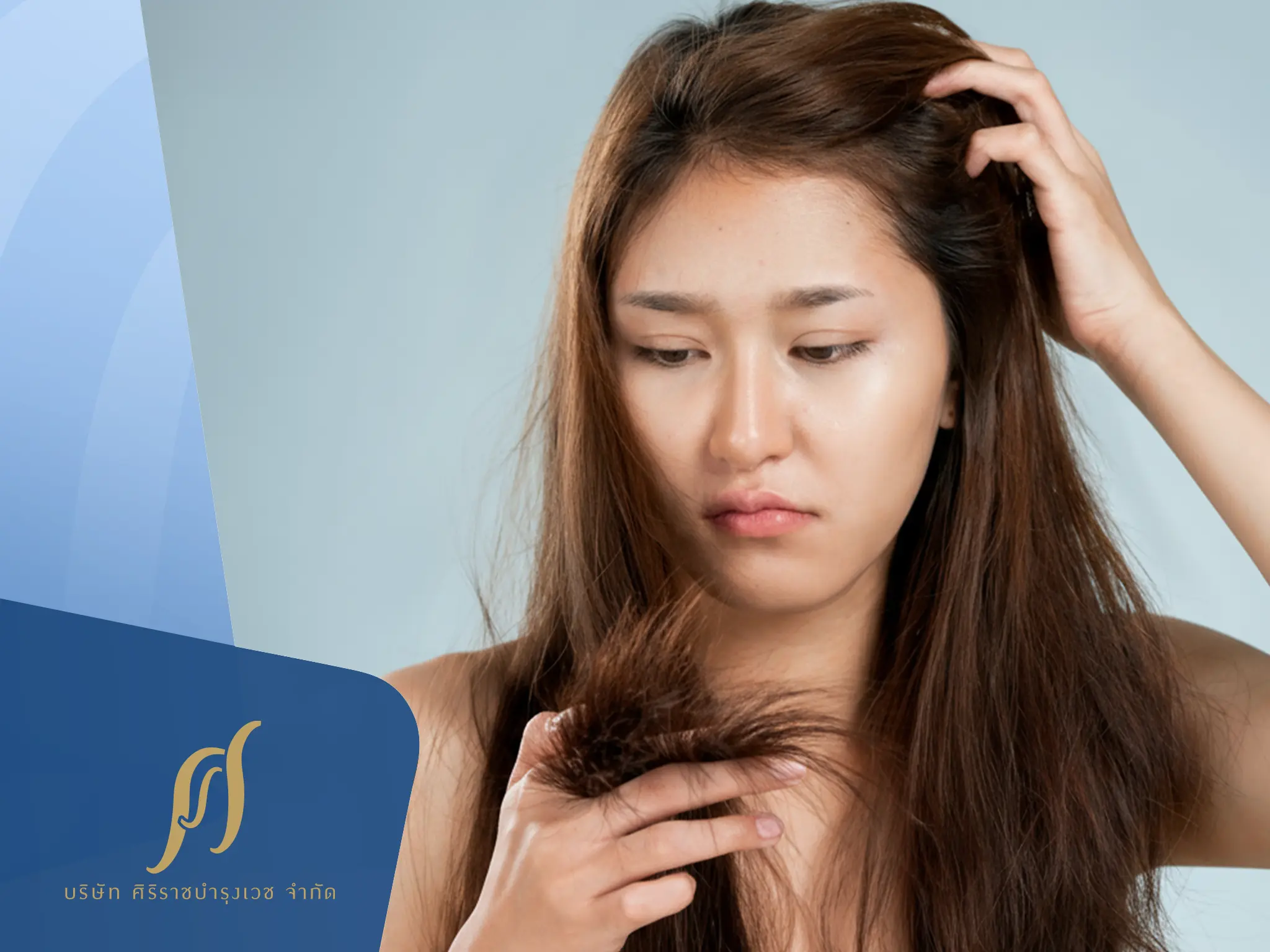 มัดรวมเรื่องต้องรู้ของ “ผมแห้งเสีย”